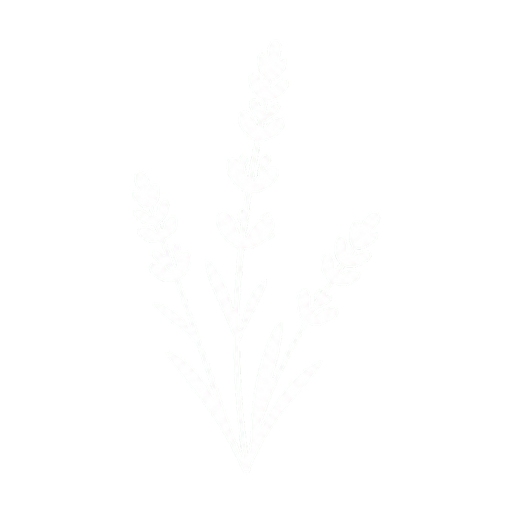 Lavanda
